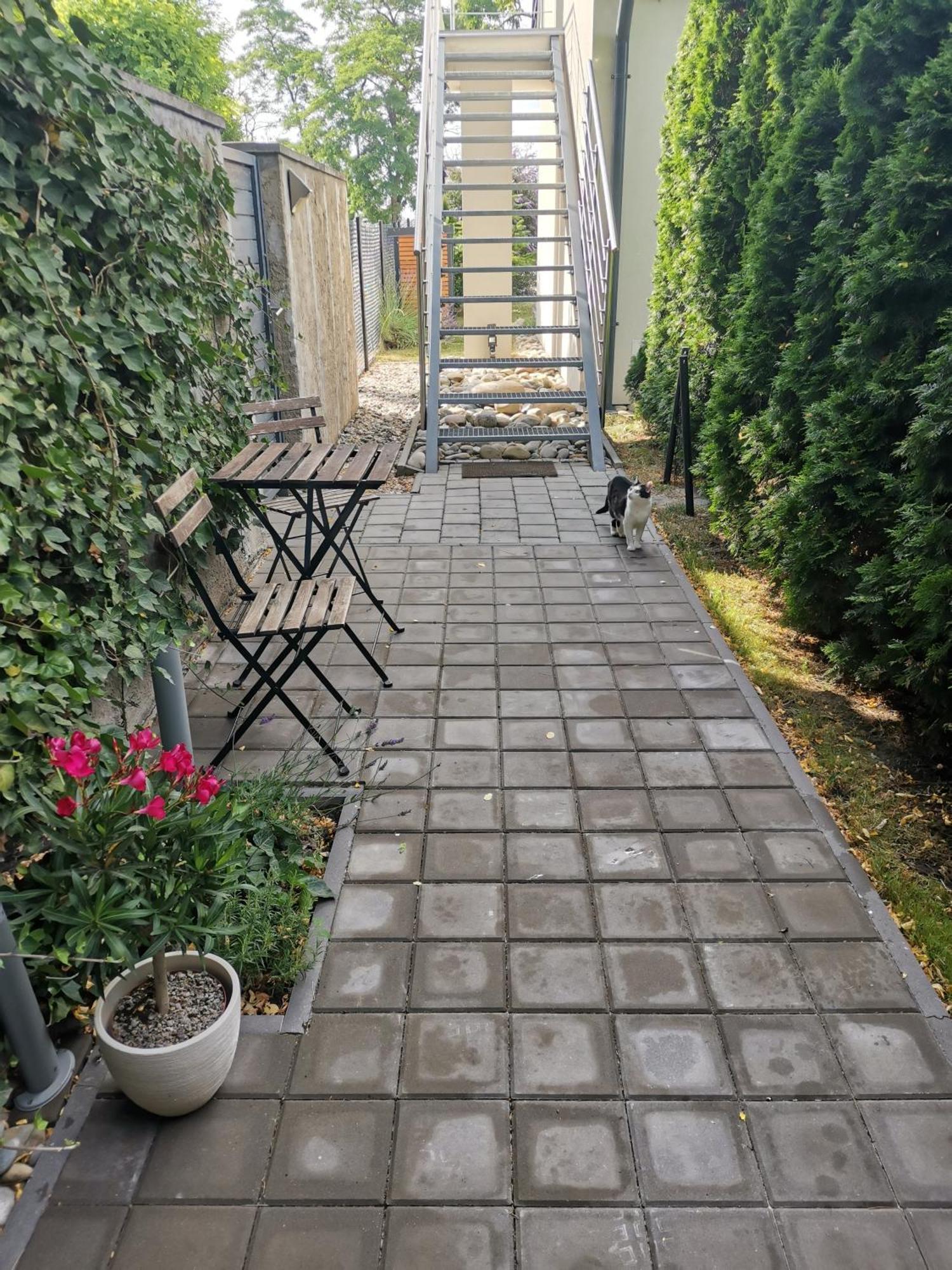 Ubytovani Tri Vrby Pasohlávky Extérieur photo